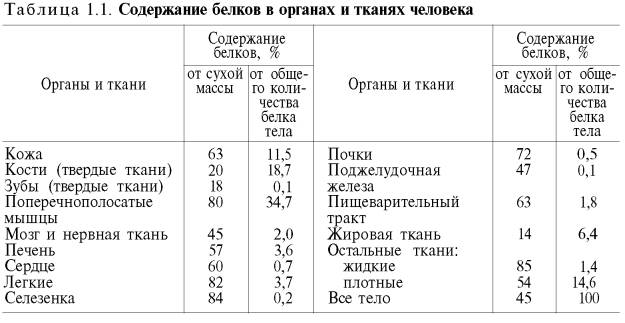 Содержание белков в органах и тканях