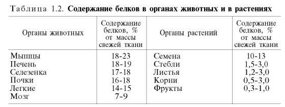 Содержание белков в органах и тканях