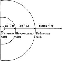 глаз ярм