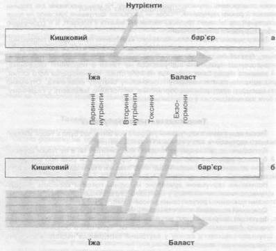 Реферат: Цінність соусів