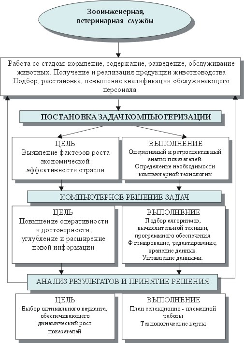 Курсовая работа по теме Технология производства и хранения кормов с элементами расчёта кормовой базы животноводческой фермы