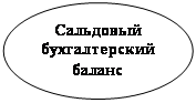 Овал: Сальдовый&#13;&#10;бухгалтерский&#13;&#10;баланс&#13;&#10;