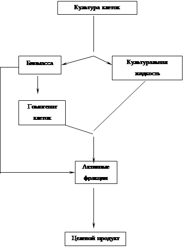 Реферат: Основные подходы к первичной обработке биологического сырья. Сепарация, осаждение, экстракция