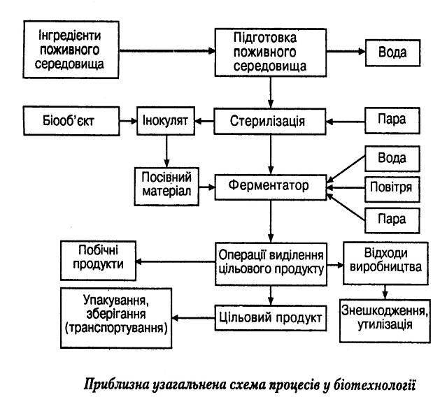 Реферат: Утилізація відходів харчової промисловості