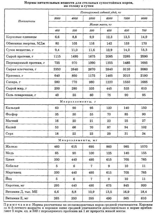 Курсовая работа: Кормление стельных сухостойных коров