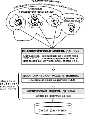 Реферат На Тему Архитектура Базы Данных